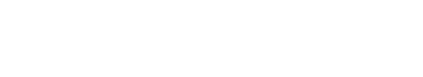Streetwise Security Services